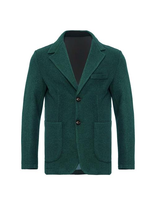 Antioch Jakke  grøn / mørkegrøn