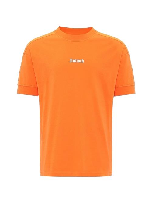 Antioch Bluser & t-shirts  orange / hvid