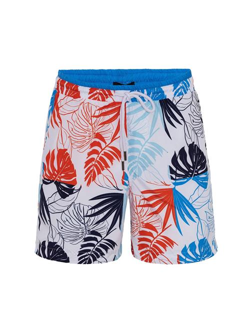 Daniel Hills Badeshorts  blå / navy / rød / hvid