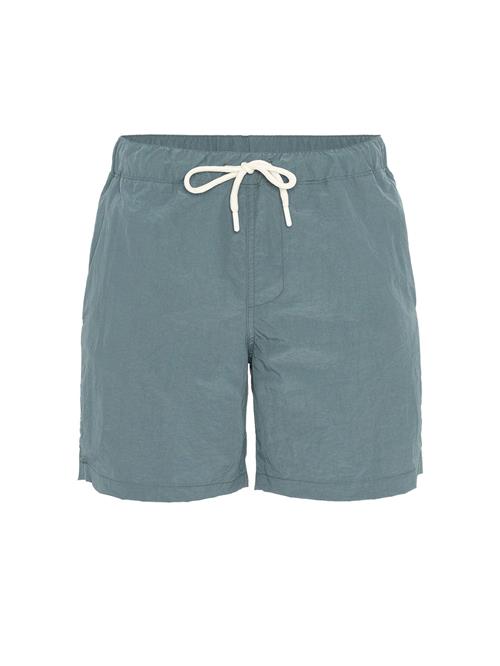 Daniel Hills Badeshorts  dueblå