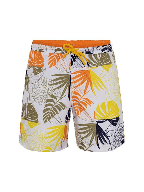 Daniel Hills Badeshorts  blandingsfarvet