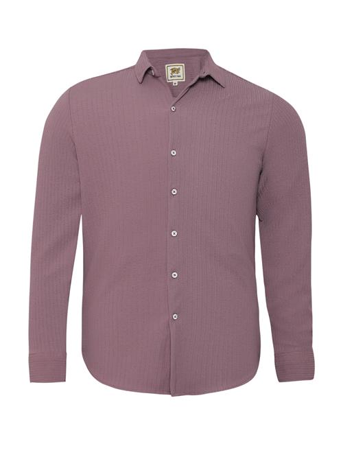 Campus Sutra Skjorte 'Koa'  purpur