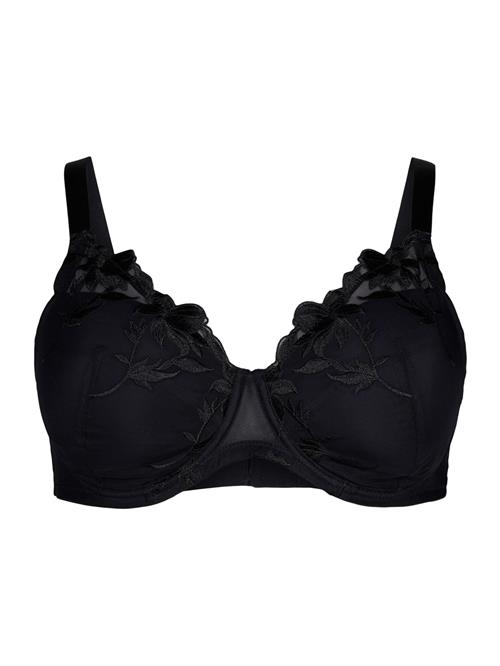 Devoted by Zizzi BH 'Lmasja'  sort