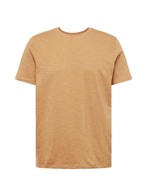 SELECTED Bluser & t-shirts 'SLHASPEN'  lysebrun