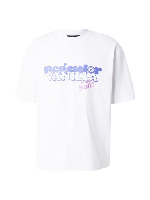 Pegador Bluser & t-shirts 'Hamlin'  blå / orkidee / hvid
