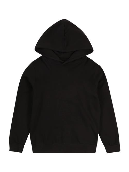 LMTD Sweatshirt 'Nizu'  sort