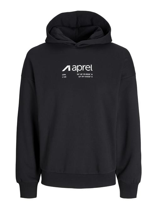 aprel Sweatshirt  sort / hvid