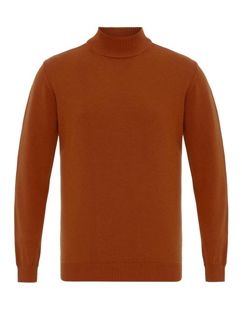 Anou Anou Pullover  brun