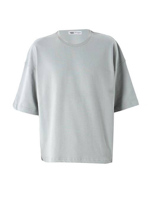 VAMOS CLO Bluser & t-shirts  grå