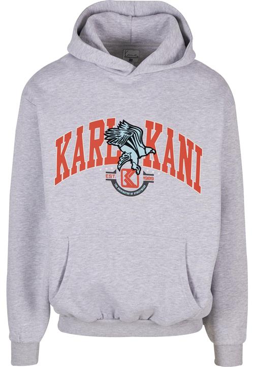 Karl Kani Sweatshirt 'Eagle'  turkis / grå-meleret / rød / sort