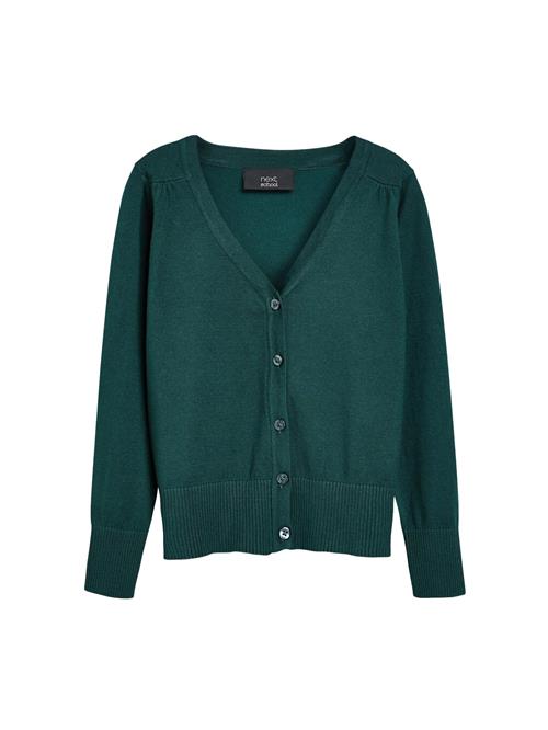 Next Cardigan  smaragd