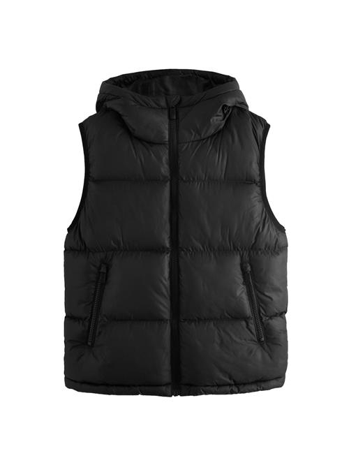 Next Vest  sort