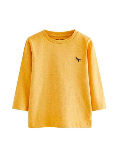 Next Shirts  curry / sort