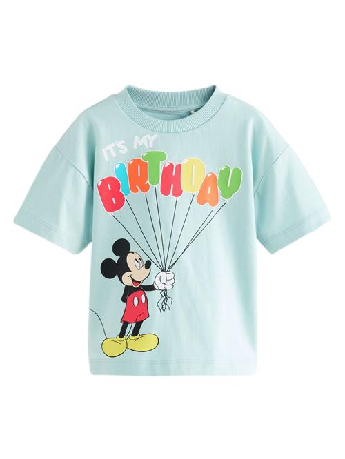 Next Shirts  blå / blandingsfarvet