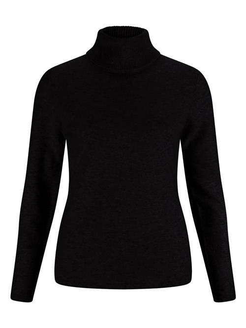 CASH-MERE.CH Pullover  sort