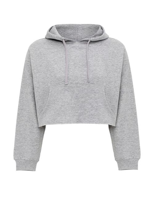 Jacey Quinn Sweatshirt  grå