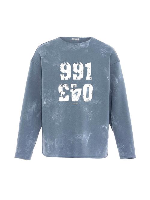 VAMOS CLO Sweatshirt  basalgrå / hvid