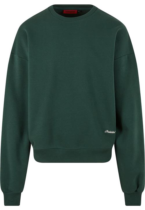 Prohibited Sweatshirt 'Savile'  navy / grøn / blodrød / hvid