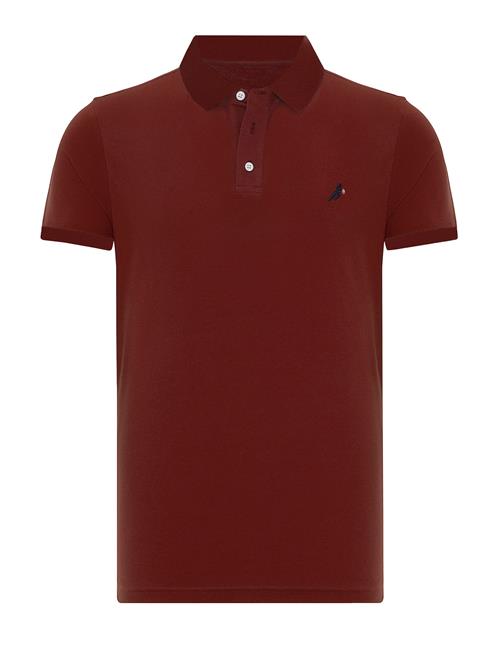 Moxx Paris Bluser & t-shirts  bordeaux