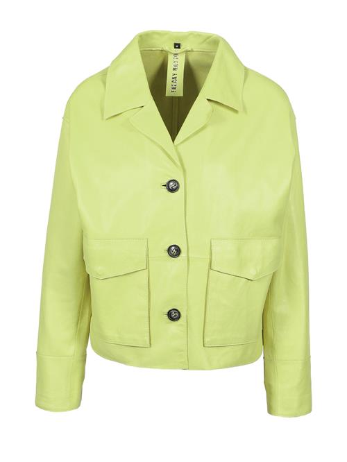 FREAKY NATION Overgangsjakke  gul