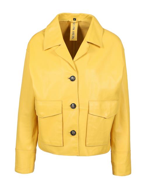 FREAKY NATION Overgangsjakke 'Sun Catcher'  curry