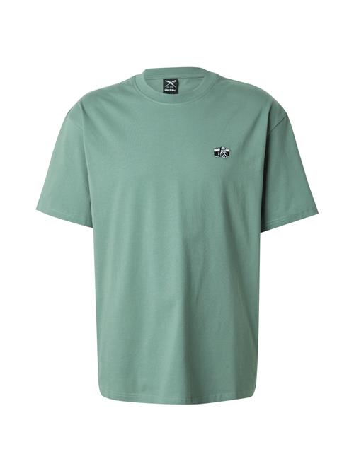 Iriedaily Bluser & t-shirts 'Spiegelreflex'  lysegrøn / sort / hvid