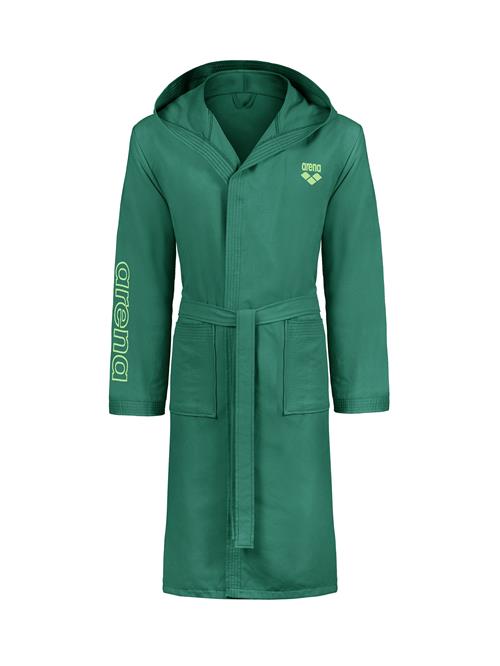 ARENA Sportsbadedragt 'ZEAL'  grøn / pastelgrøn