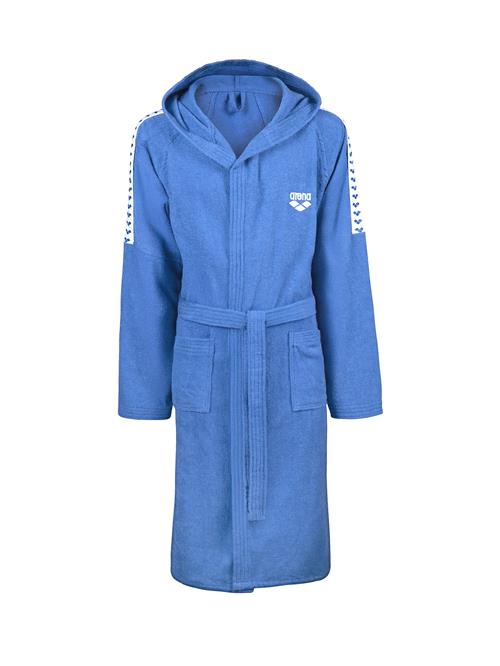 ARENA Sportsbadedragt 'TEAM STRIPE'  blå / hvid