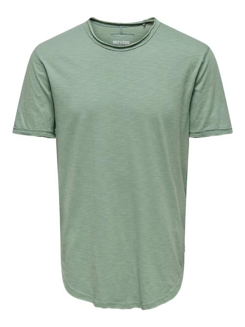 Only & Sons Bluser & t-shirts 'ONSBENNE'  siv