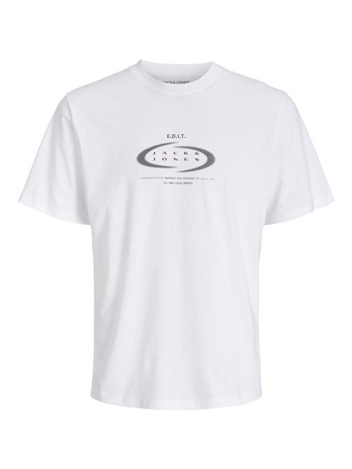 JACK & JONES Bluser & t-shirts  mørkegrå / vinrød / hvid