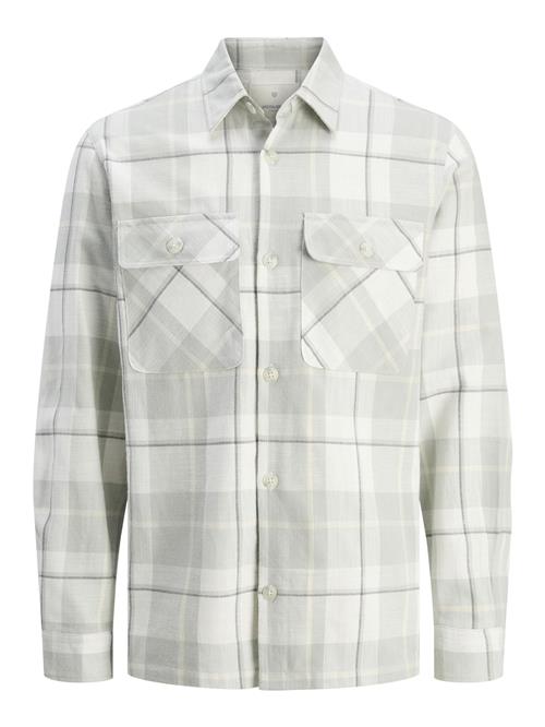 JACK & JONES Skjorte 'JPRCCRAYMOND SPRING'  antracit / lysegrå / pastelgrøn