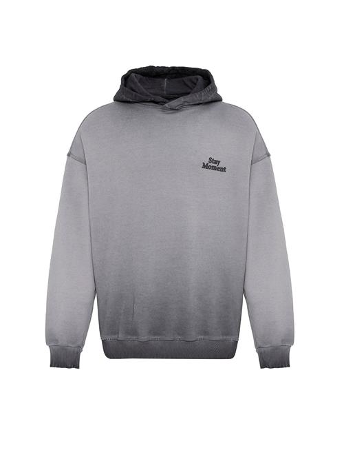 Dandalo Sweatshirt  grå / mørkegrå