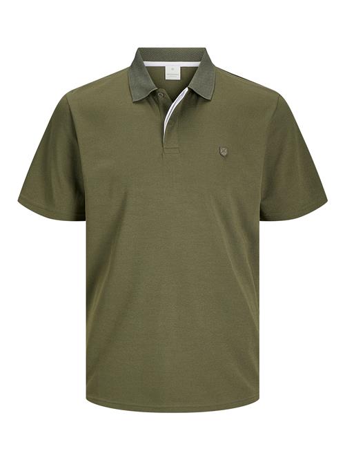 Jack & Jones Premium Bluser & t-shirts 'JJRODNEY'  oliven