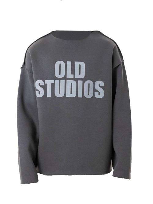 Dandalo Sweatshirt  sølvgrå / mørkegrå