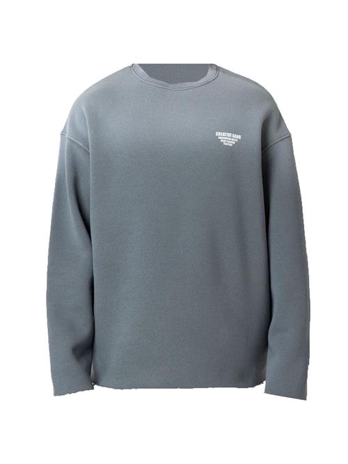 Dandalo Sweatshirt  sølvgrå / hvid