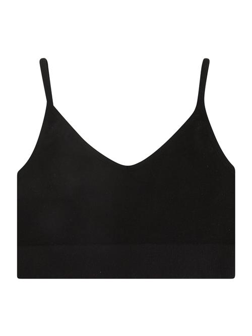 LMTD BH 'NLFKailey'  sort