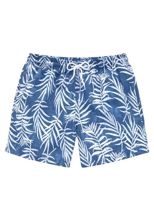 VENICE BEACH Badeshorts  blå / hvid