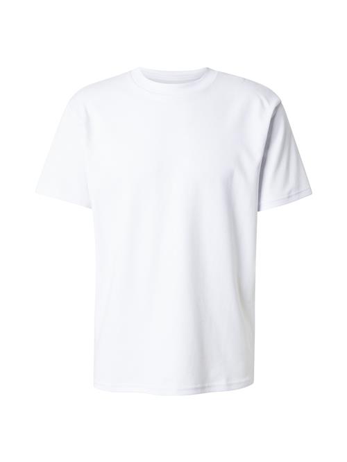 HOLLISTER Bluser & t-shirts  hvid