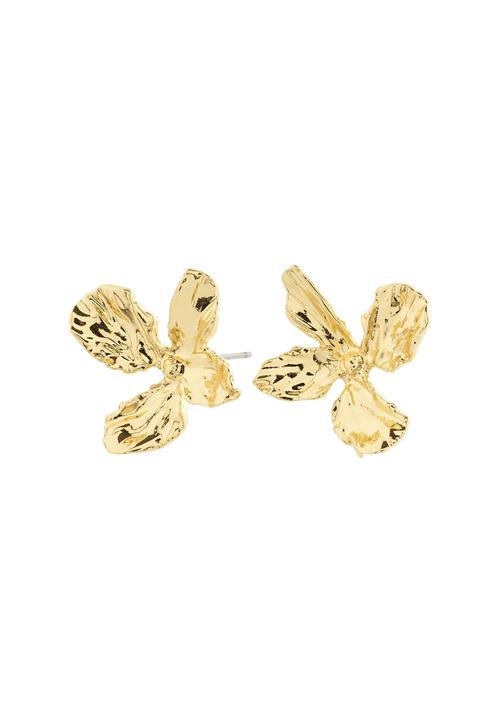 Pilgrim Øreringe 'Dream'  guld