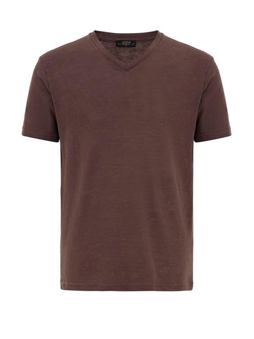 Antioch Bluser & t-shirts  brun