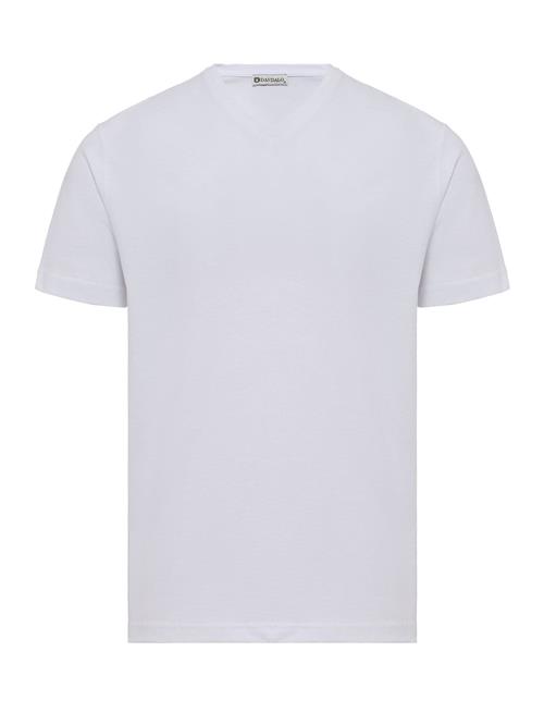 Dandalo Bluser & t-shirts  beige / gran / hvid