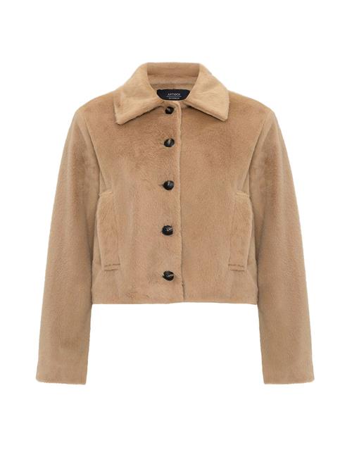 Antioch Overgangsjakke  camel