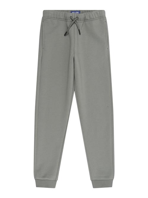 Only & Sons Junior Bukser 'OSJCeres'  grå