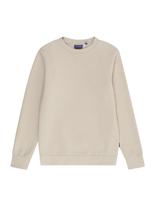 Only & Sons Junior Sweatshirt 'OSJCeres'  greige