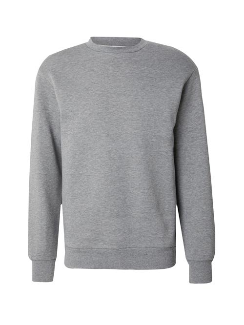 SELECTED Sweatshirt 'SLHDAN'  grå-meleret
