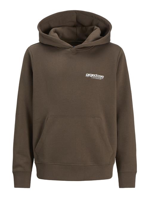 Jack & Jones Junior Sweatshirt  brun / lysegrå