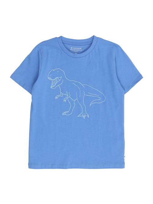 Se TOM TAILOR Shirts  azur / pastelgrøn hos About You