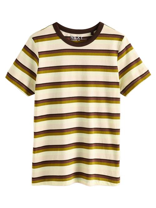 Next Shirts  chamois / ecru / choko / oliven