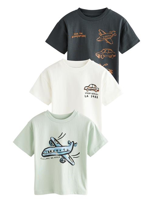 Next Shirts  mint / orange / sort / hvid