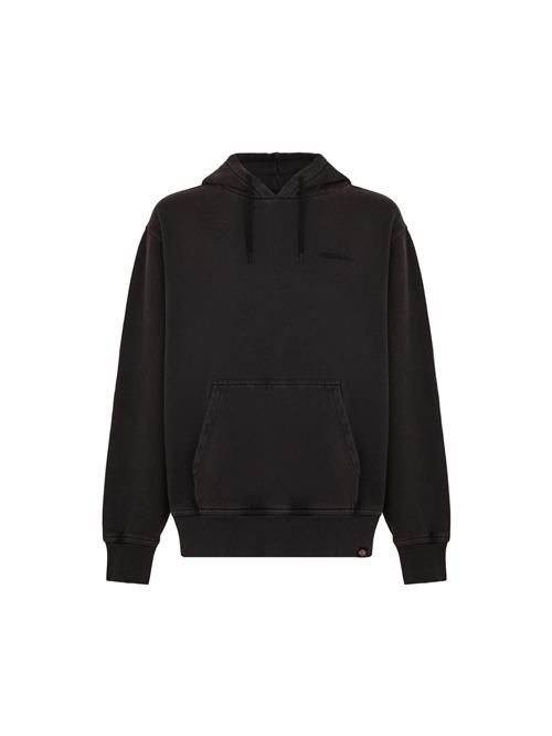 DICKIES Sweatshirt 'Plentywood'  sort